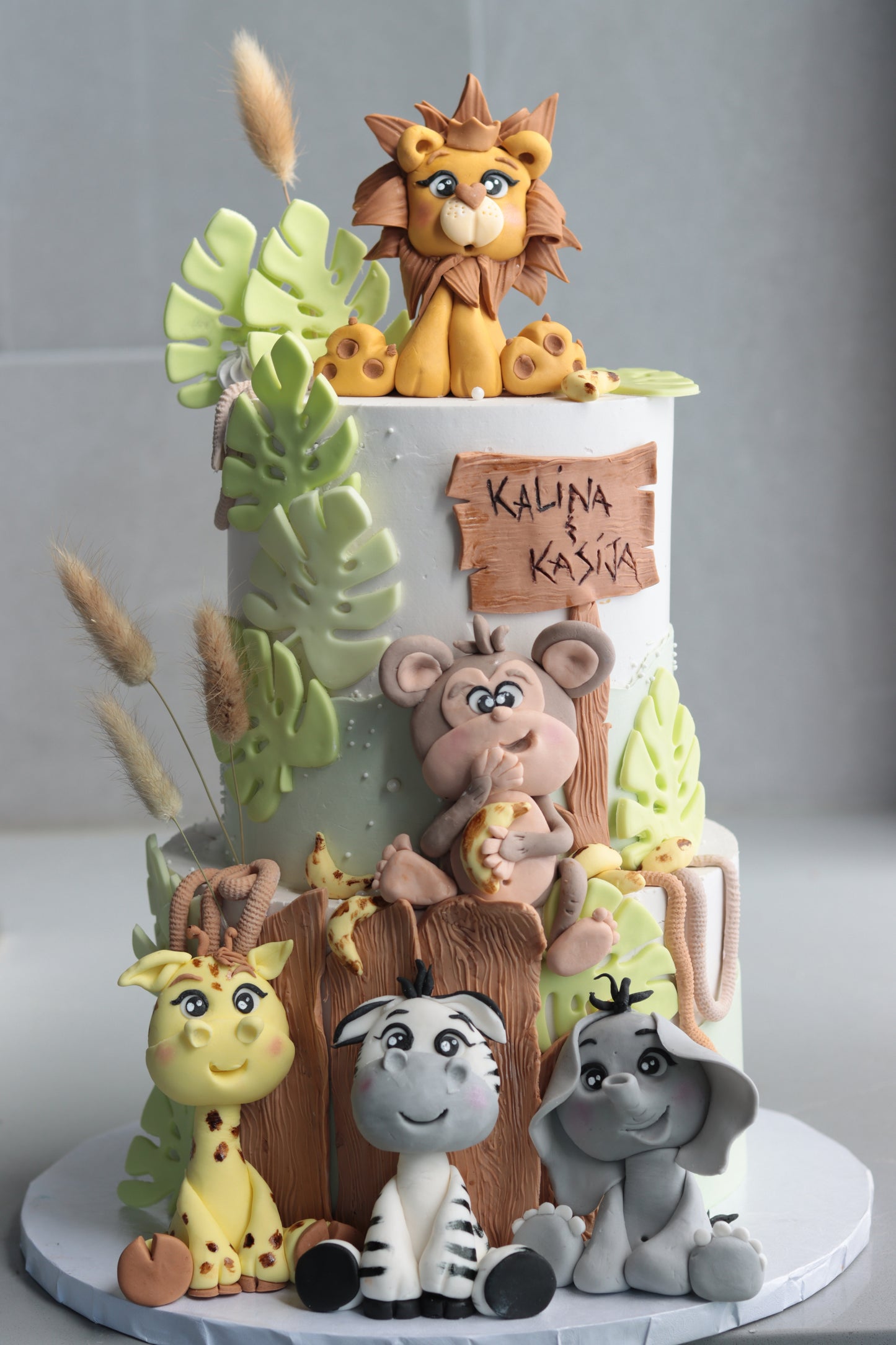 Safari Cake