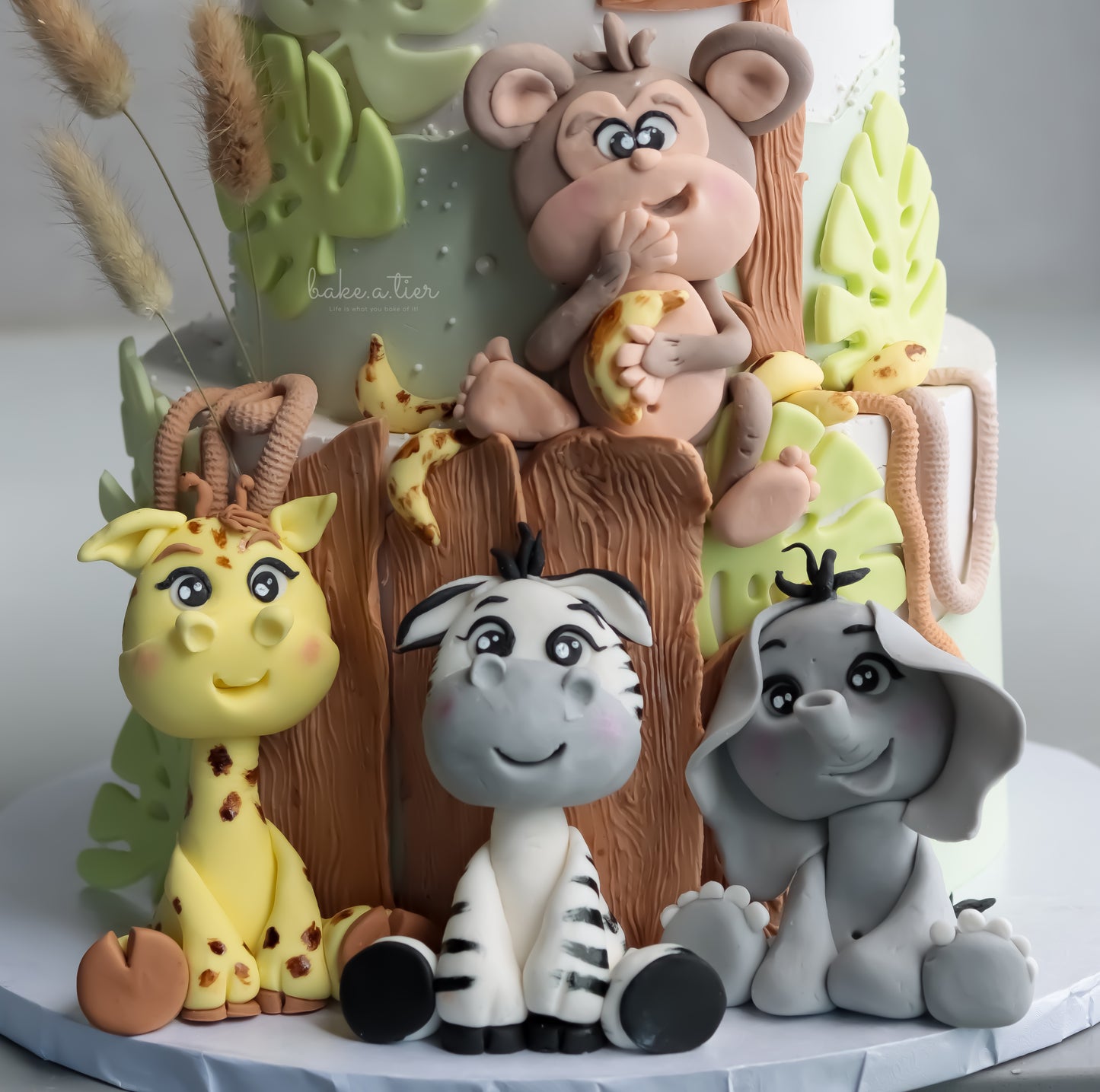 Safari Cake