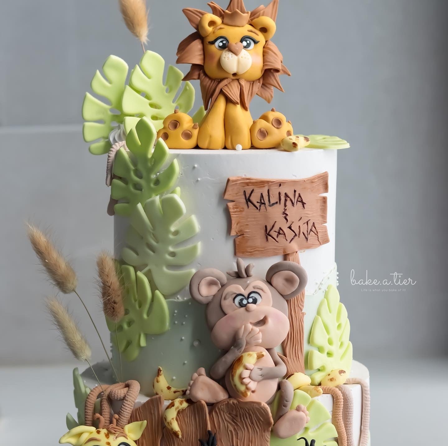 Safari Cake