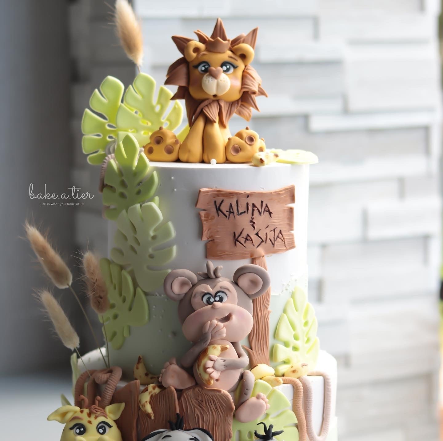 Safari Cake